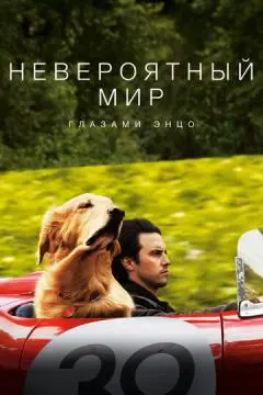 Невероятный мир глазами Энцо онлайн